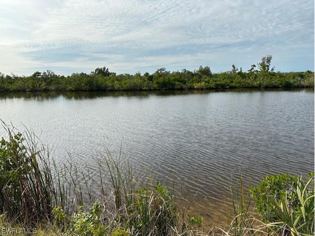 3338 NW 47th Avenue Cape Coral FL 33993 223095211 image1