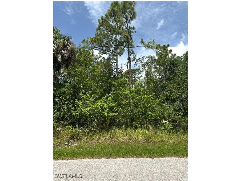 3343 Tiffiny Street Punta Gorda FL 33980 225059774 image1