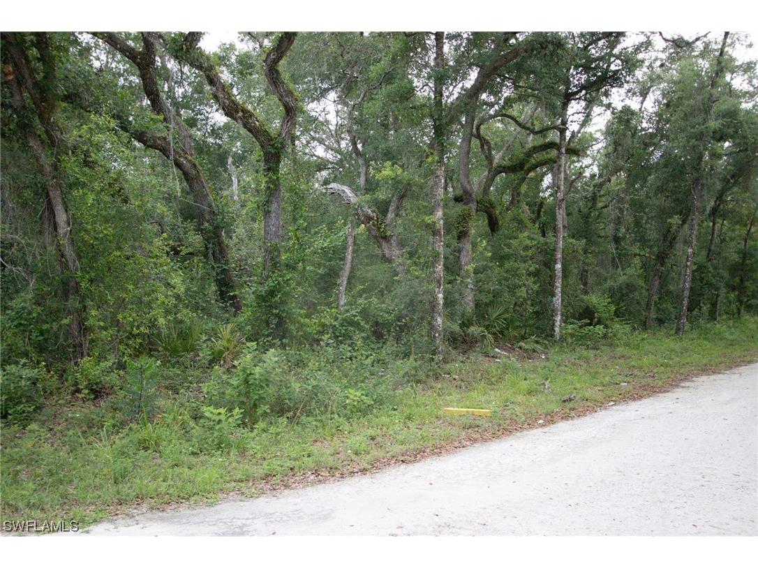 33439 August Avenue Webster FL 33597 223041854 image1