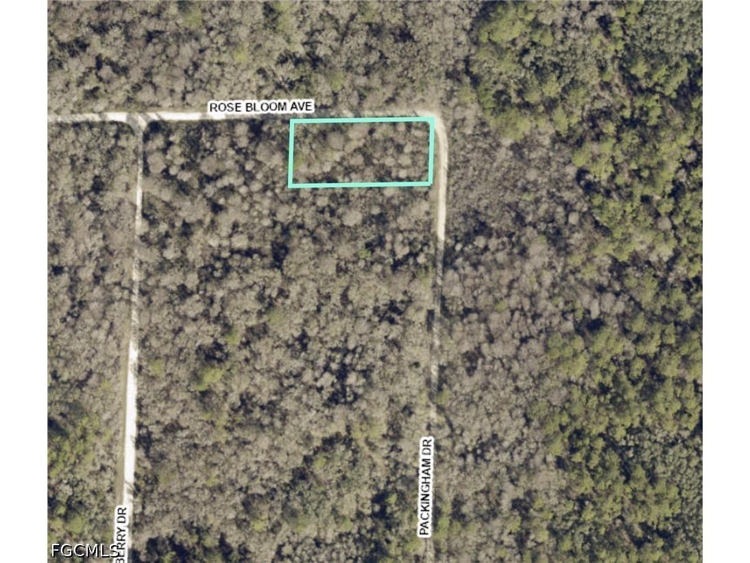 33464 Packingham Drive Webster FL 33597 2026028086 image1