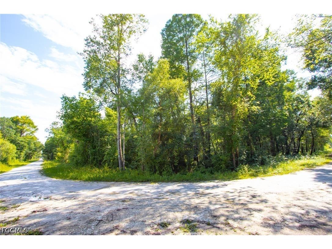 33464 Packingham Drive Webster FL 33597 2026028086 image2
