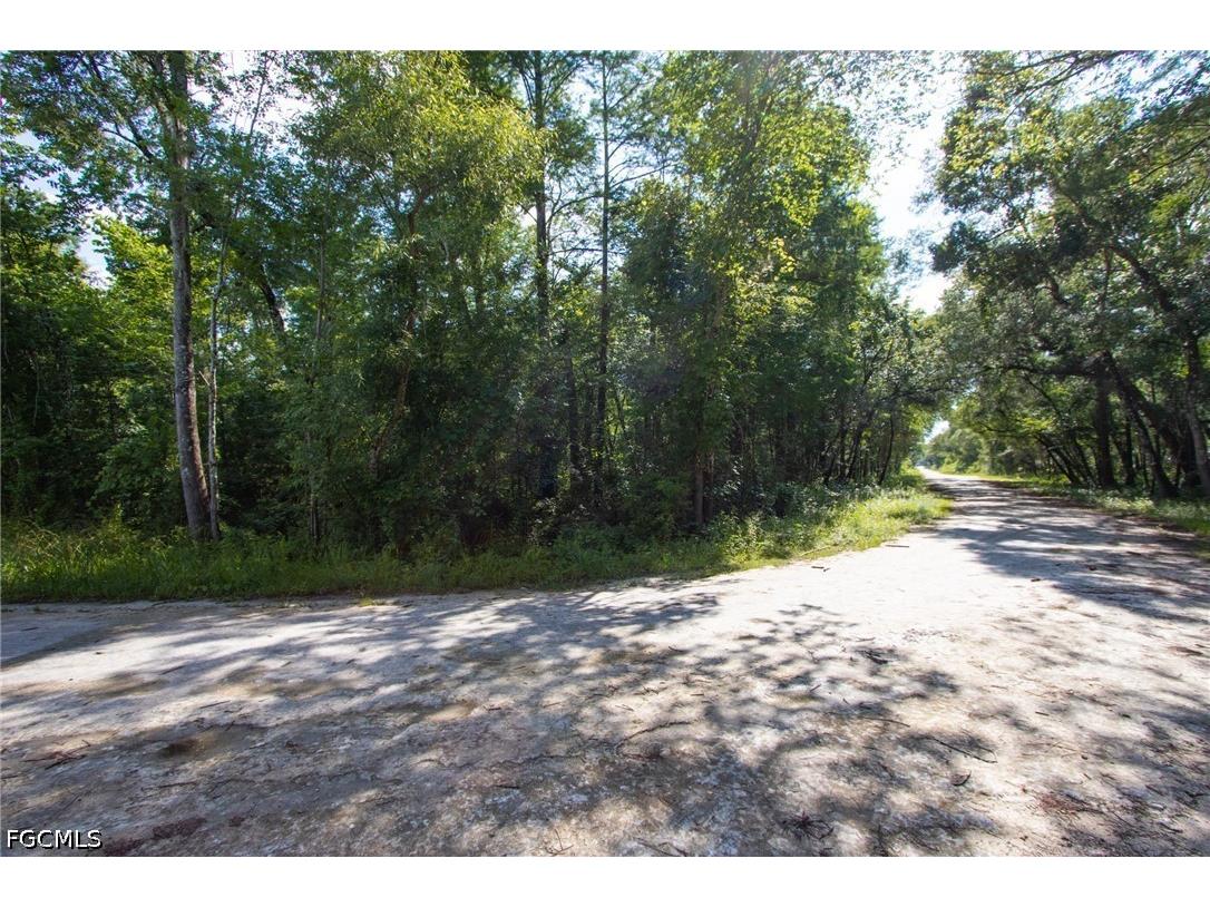 33464 Packingham Drive Webster FL 33597 2026028086 image3