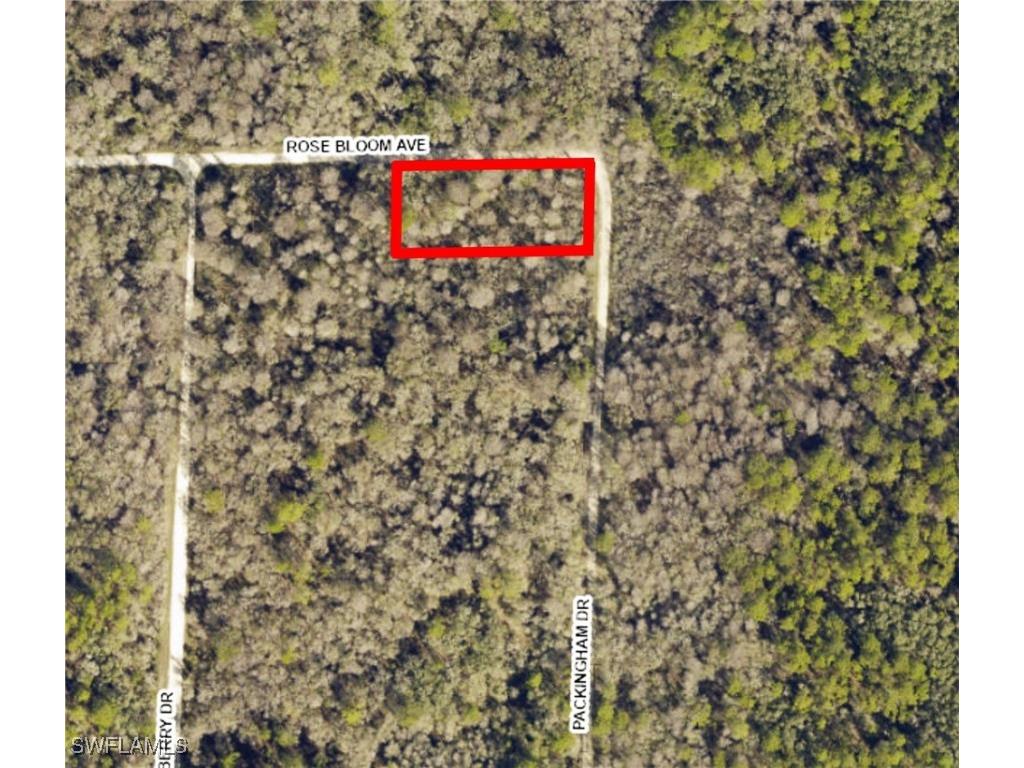 33464 Packingham Drive Webster FL 33597 225053907 image1