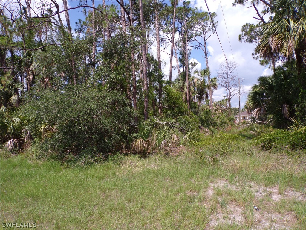 335 Cornelius Boulevard Port Charlotte FL 33953 223044719 image1