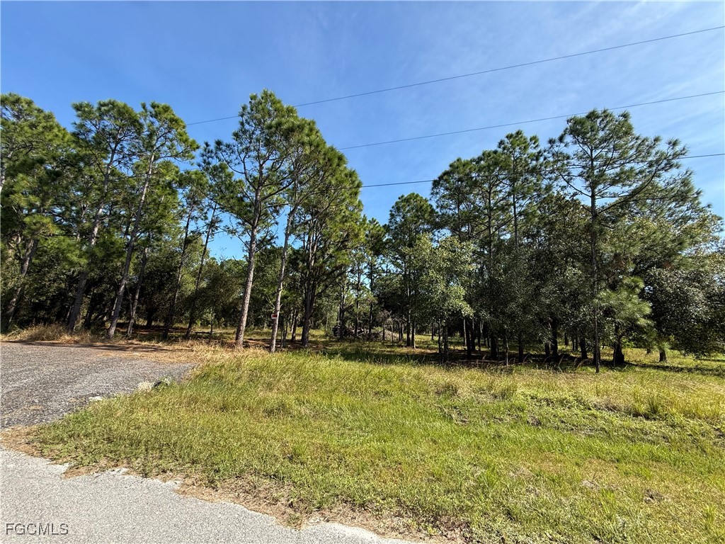 335 N Lindero Street Clewiston FL 33440 2025020148 image8