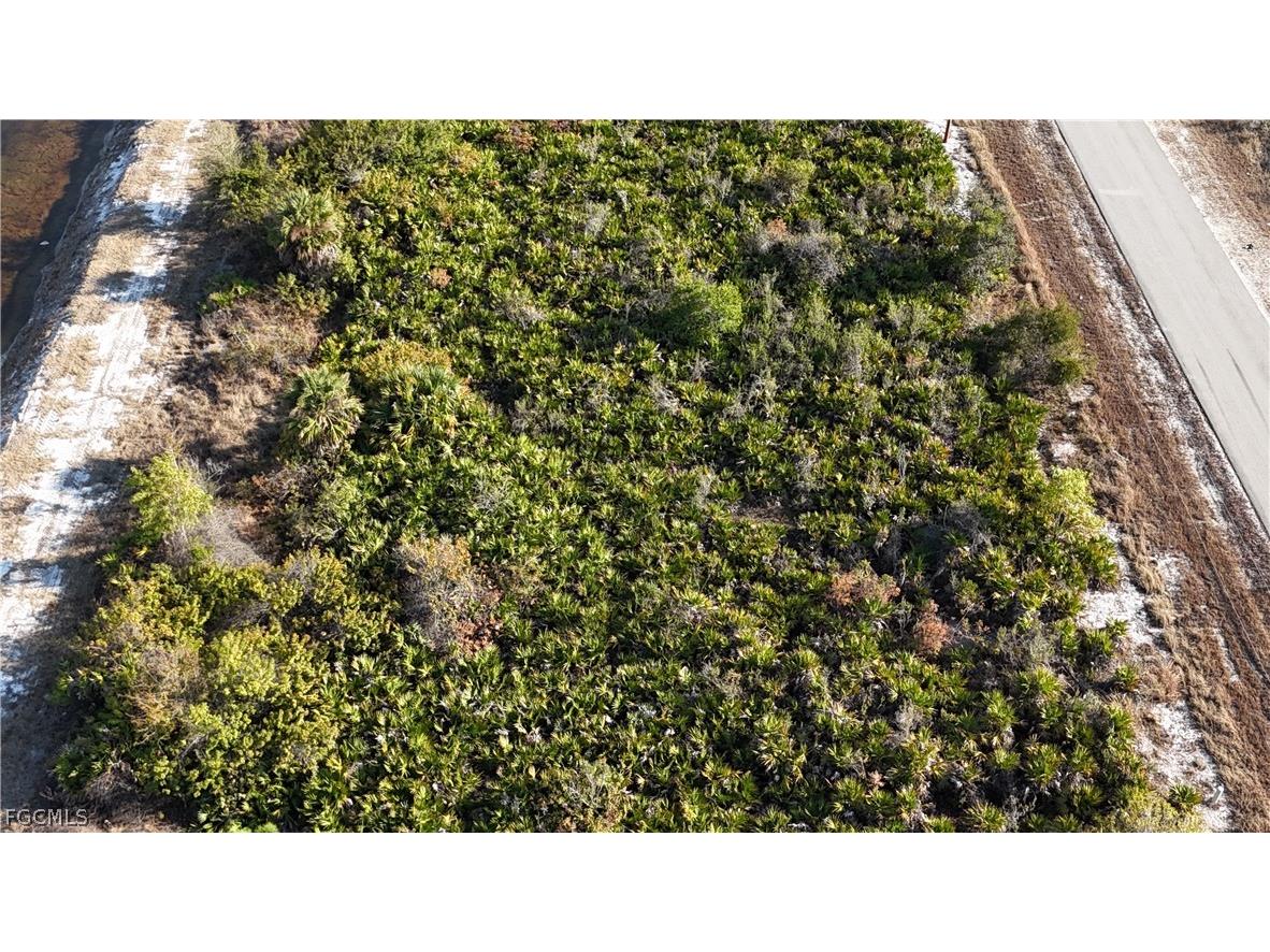 335 Paulcrest Avenue Lehigh Acres FL 33974 2026007559 image2