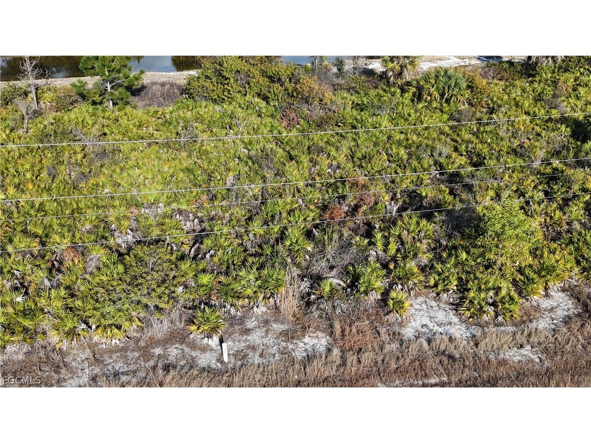 335 Paulcrest Avenue Lehigh Acres FL 33974 2026007559 image3