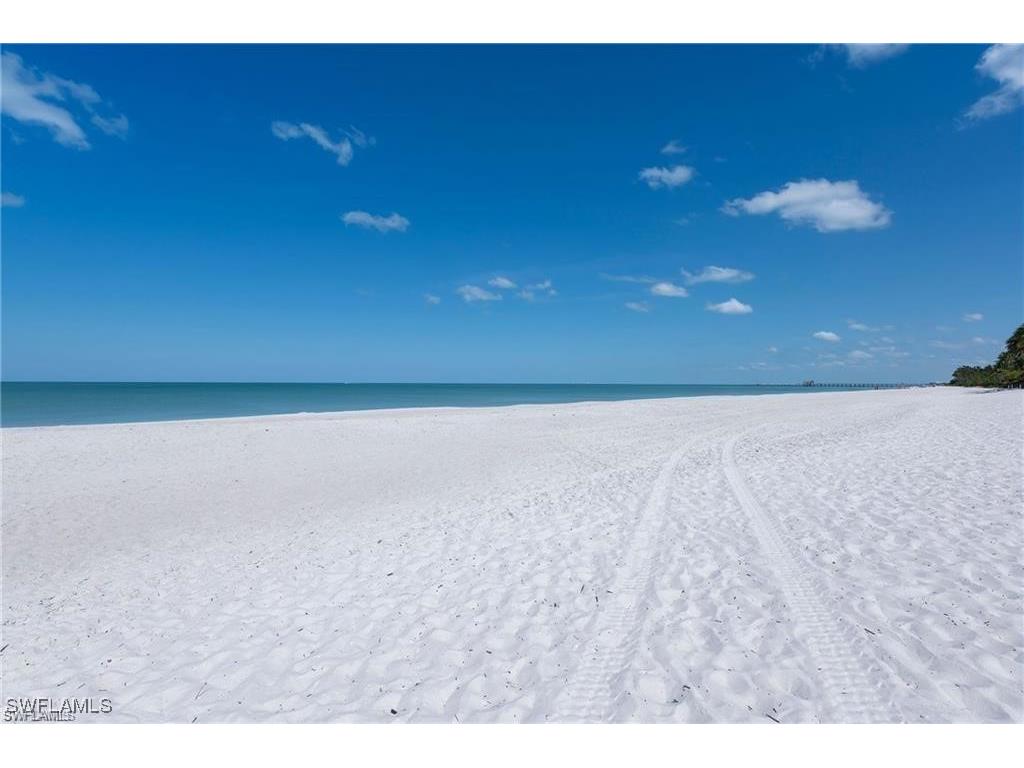 335 Pindo Palm Drive Naples FL 34104 225080139 image40