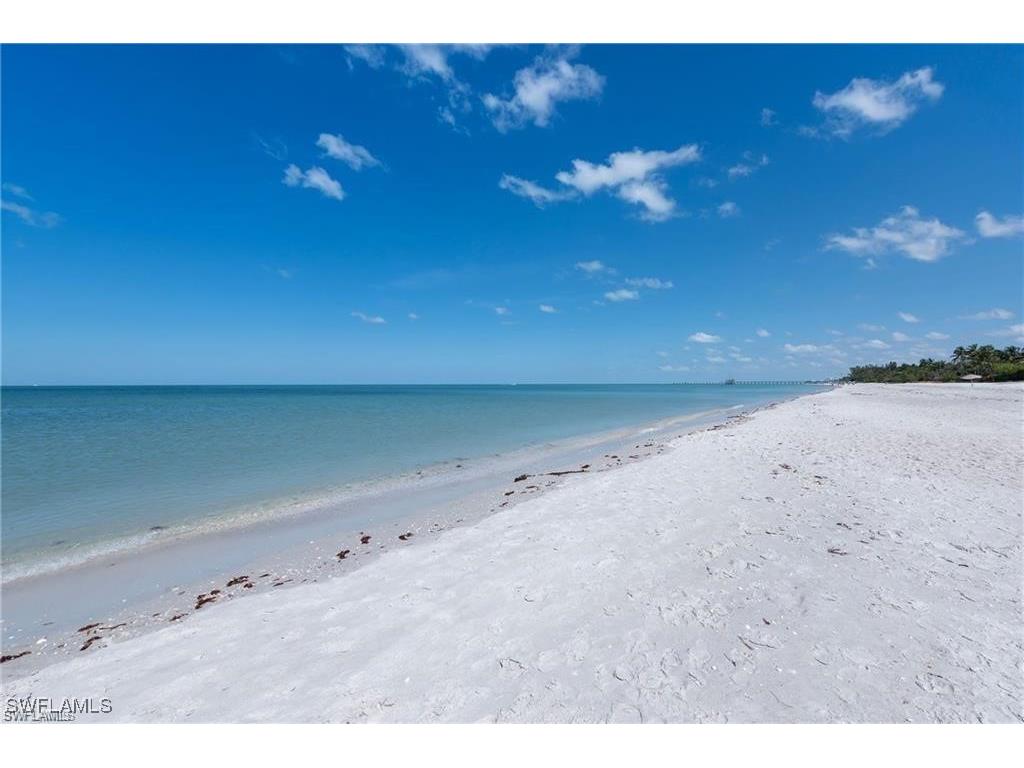 335 Pindo Palm Drive Naples FL 34104 225080139 image41