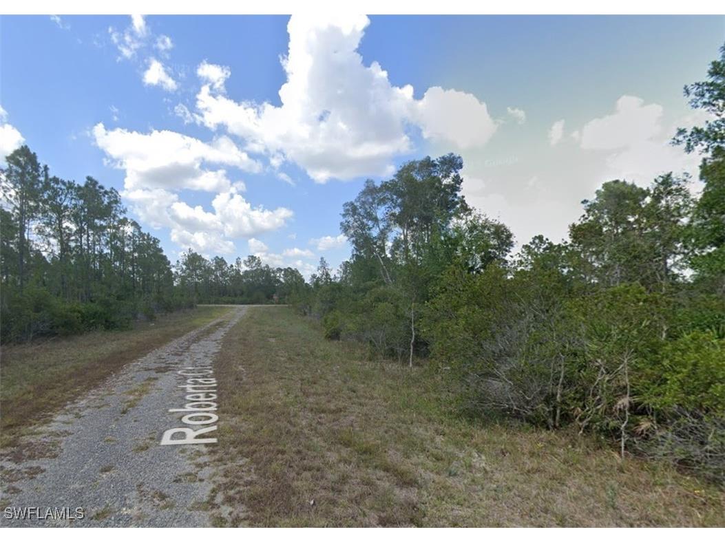 335 Roberta Court Lehigh Acres FL 33972 225028443 image1