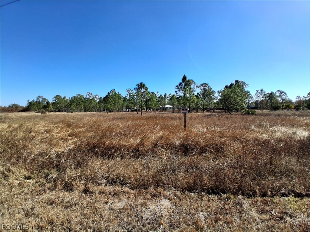 335 S Utopia Street Clewiston FL 33440 2026006925 image2