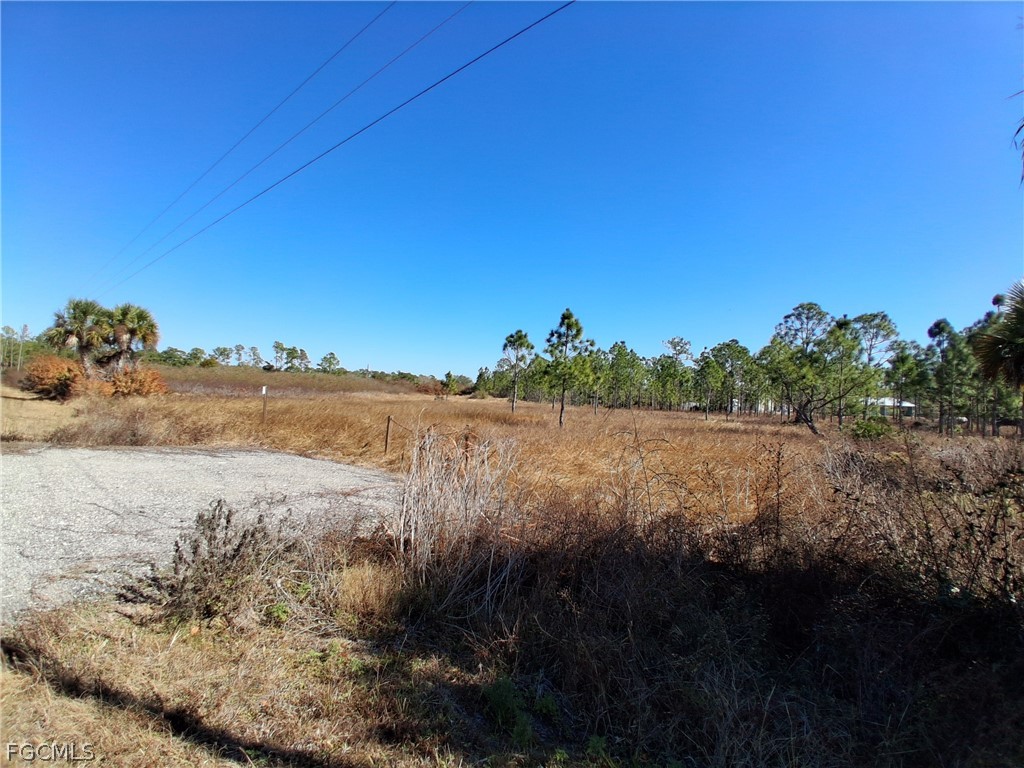 335 S Utopia Street Clewiston FL 33440 2026006925 image3