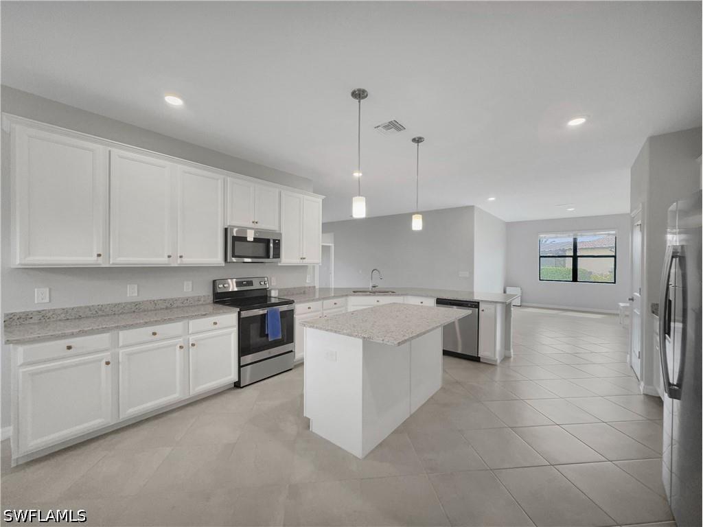 3350 Antilla Court Fort Myers FL 33905 226013386 image4