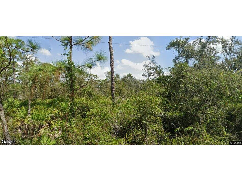 33502 Walnut Drive Punta Gorda FL 33982 2025025795 image2