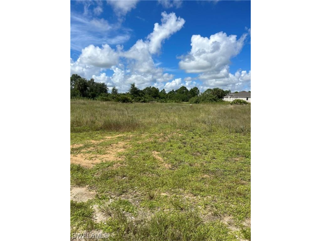 336 Paisley Avenue Lehigh Acres FL 33974 223071496 image1