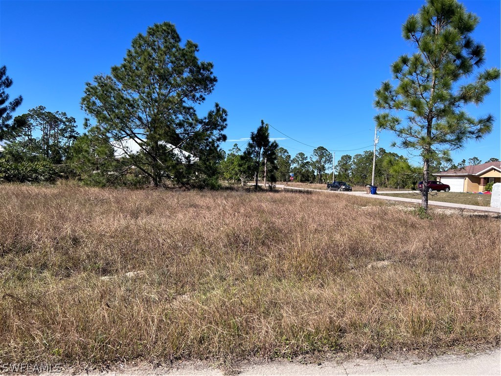 336 Pendleton Avenue Lehigh Acres FL 33974 223004839 image1