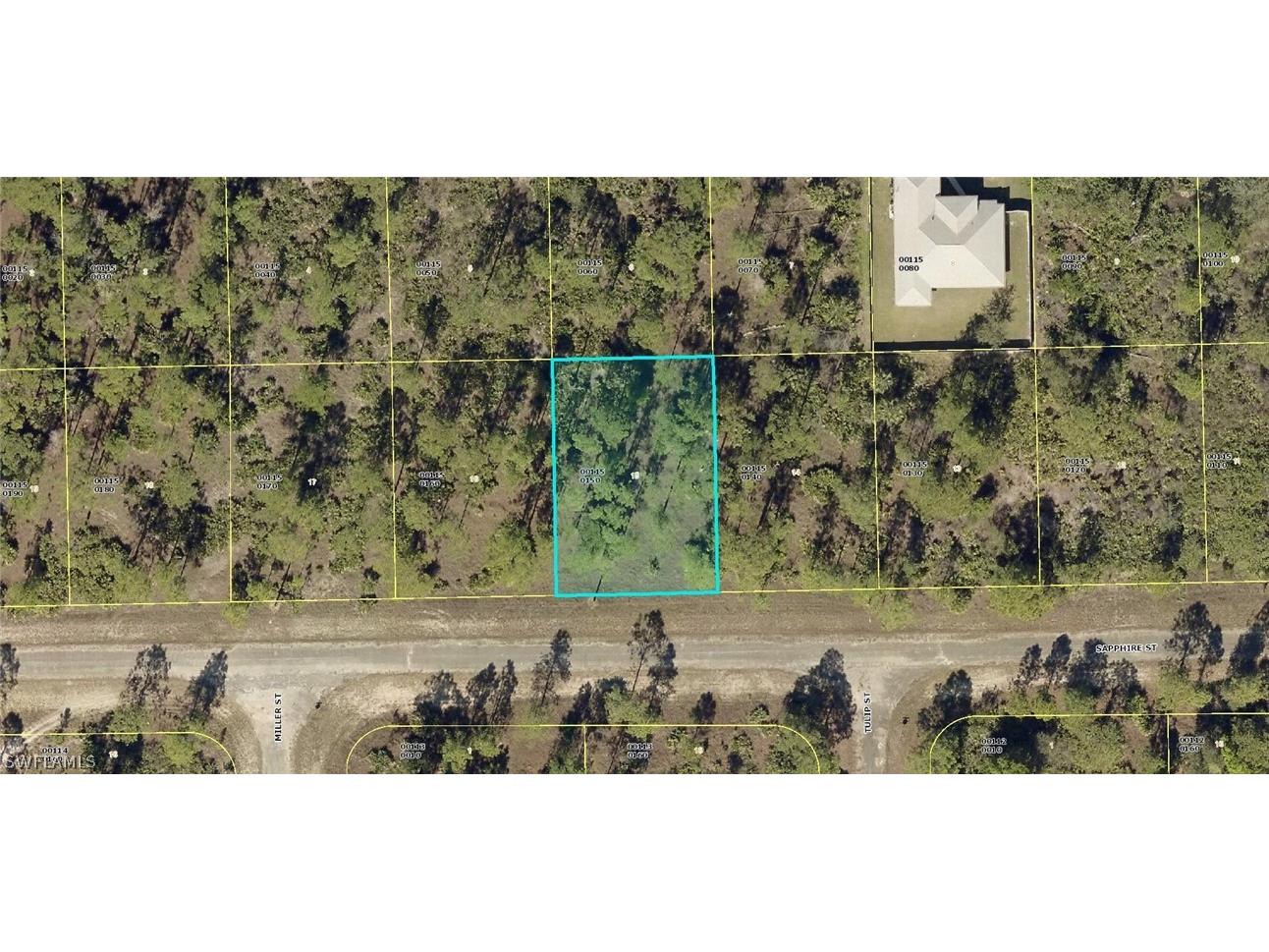 336 Sapphire Street Lehigh Acres FL 33972 223007900 image1