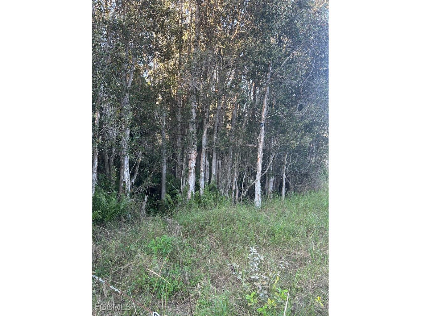 33608 Oil Well Road Punta Gorda FL 33955 2025025955 image1
