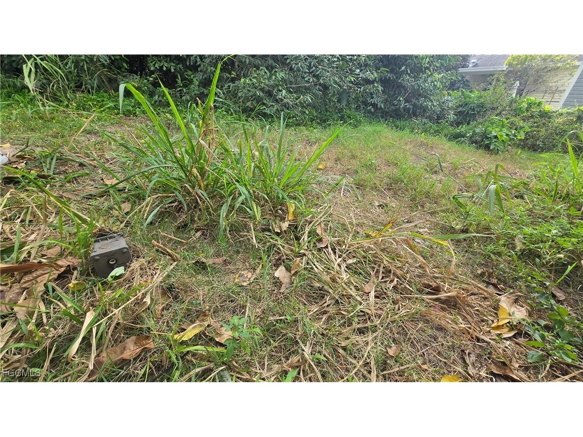 337 Sacramento Street North Fort Myers FL 33903 2025021681 image9