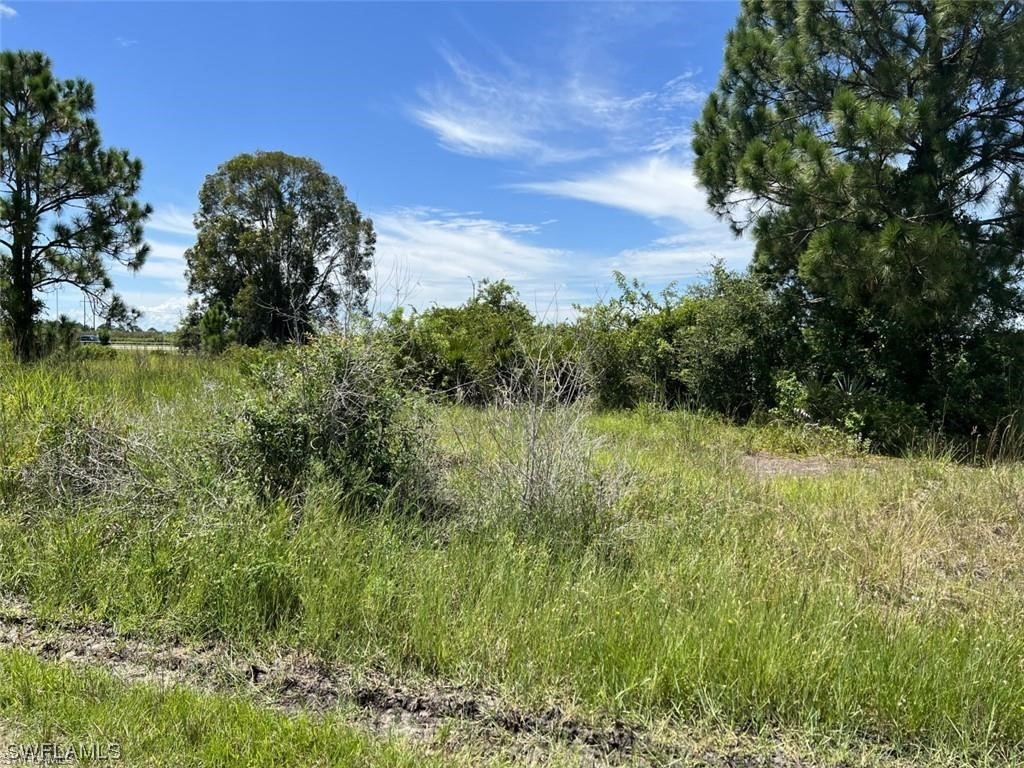 3370 Meadow Road Lehigh Acres FL 33974 223031046 image1