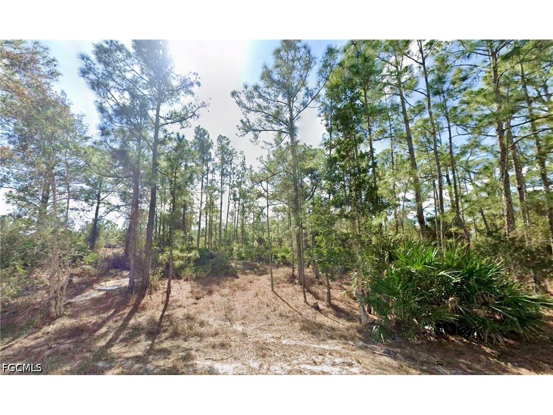 339 Mines Street Lehigh Acres FL 33972 2026029524 image1