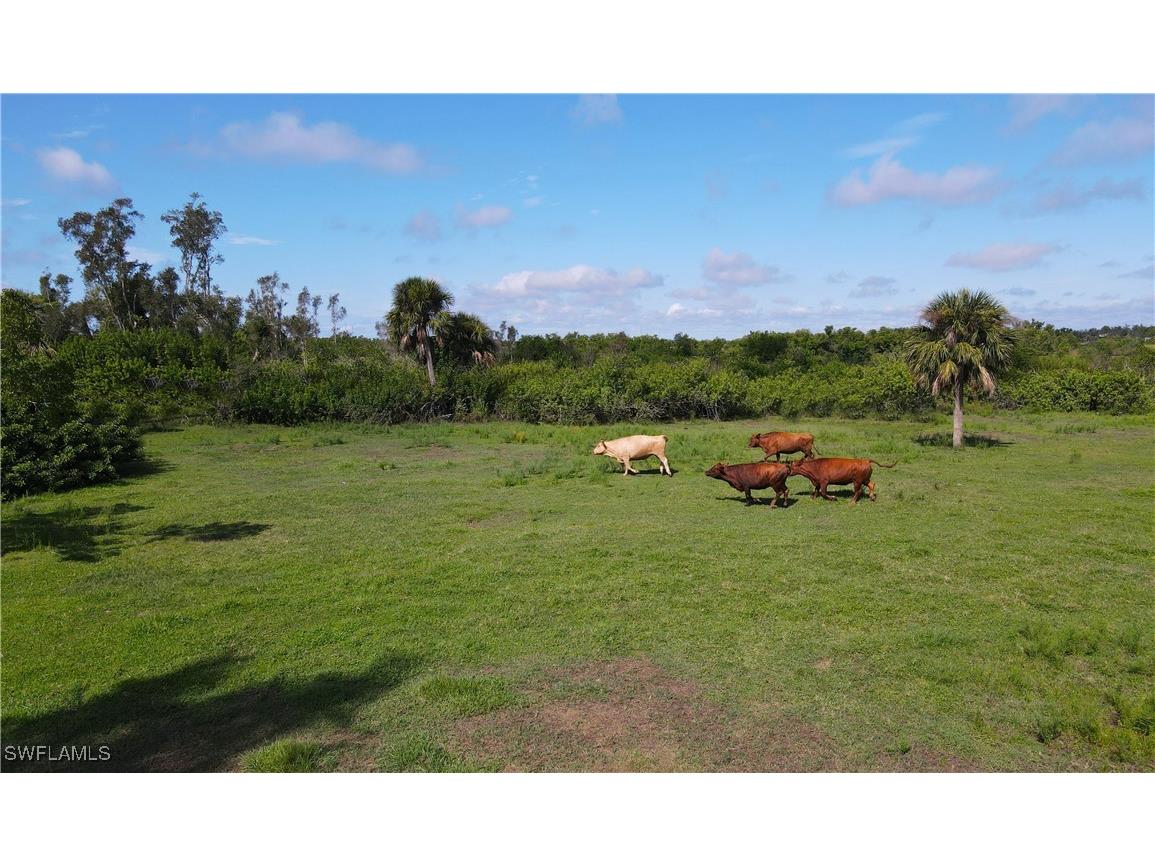 3395 Duncan Road Punta Gorda FL 33982 224089984 image32