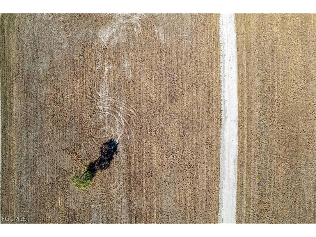 34 Macaw Drive Placida FL 33946 2026008338 image8