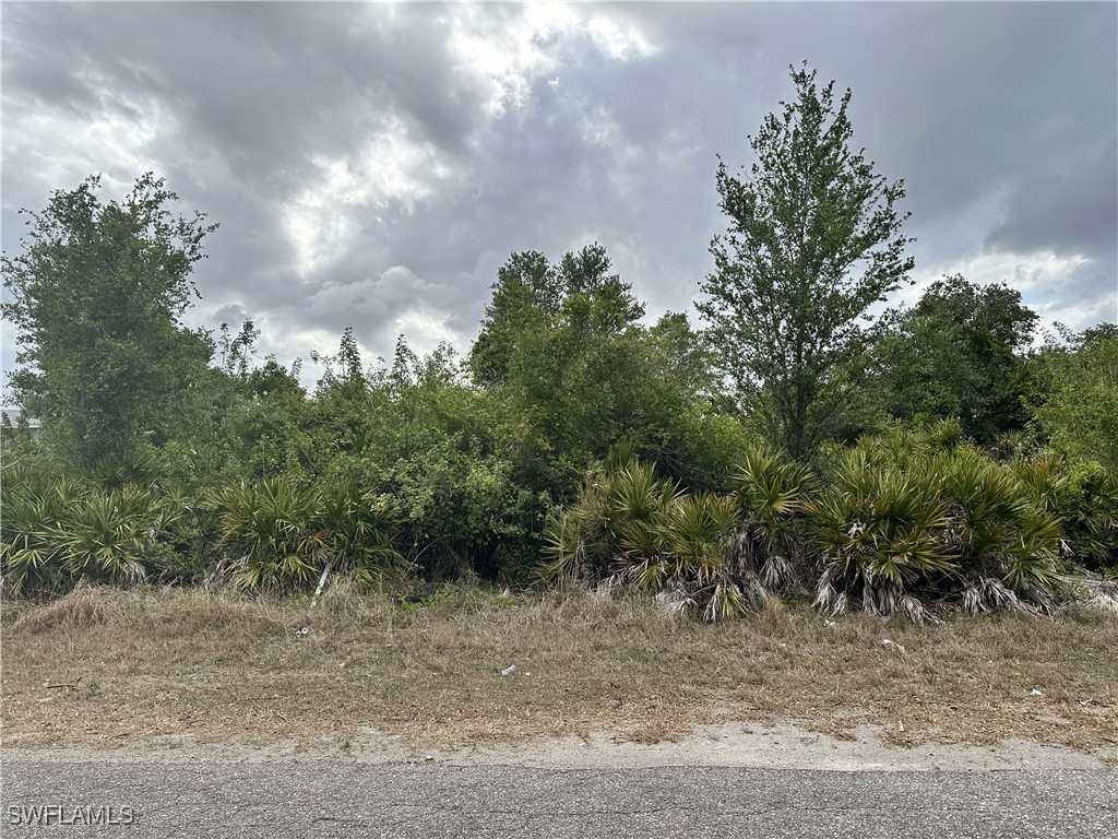 3400 10th Street SW Lehigh Acres FL 33976 225036828 image1
