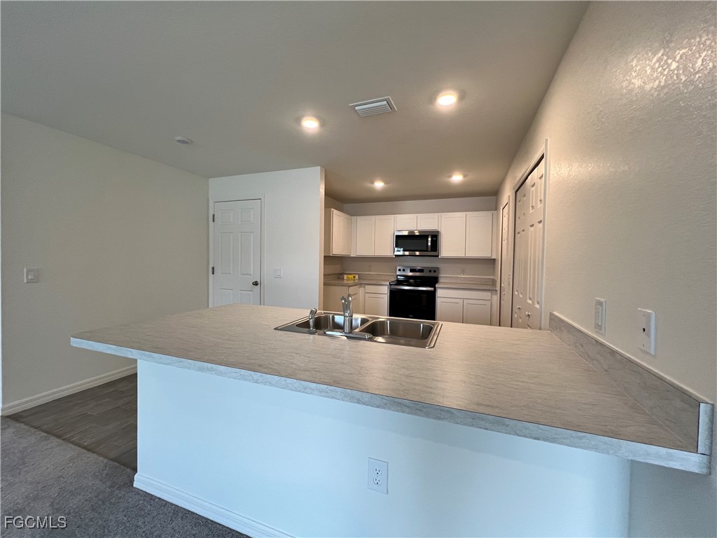 3401 NE 8th Place Cape Coral FL 33909 2025020272 image3