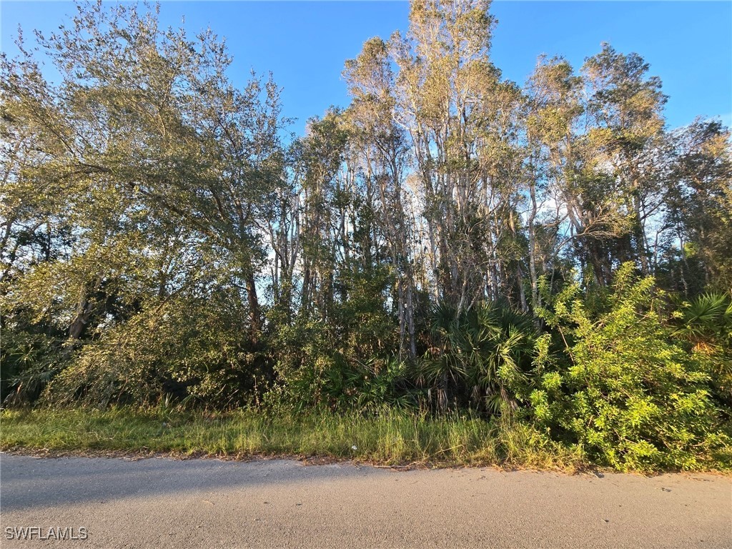 3402 39th Street SW Lehigh Acres FL 33976 224086362 image1