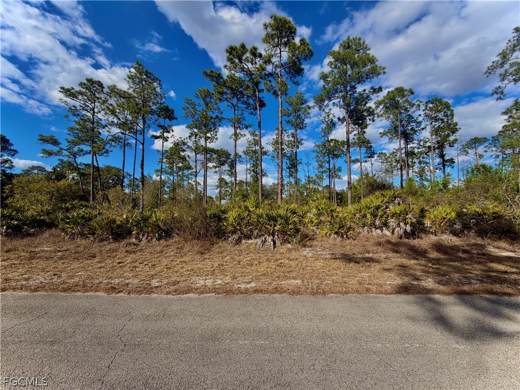3403 E 9th Street Lehigh Acres FL 33972 2026006210 image1