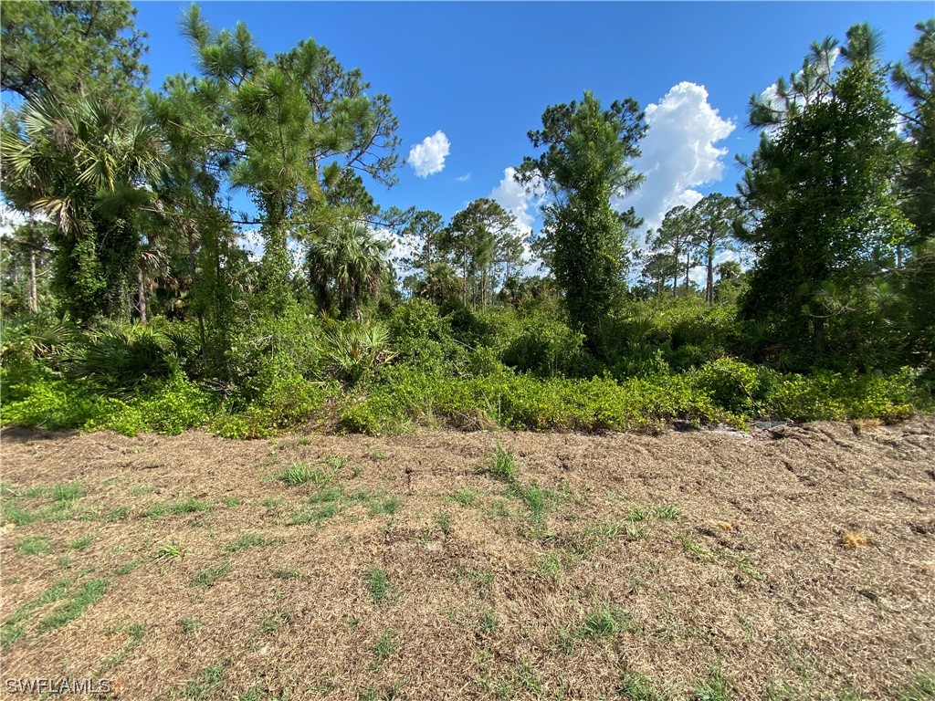 3405 73rd Street W Lehigh Acres FL 33971 223039450 image1