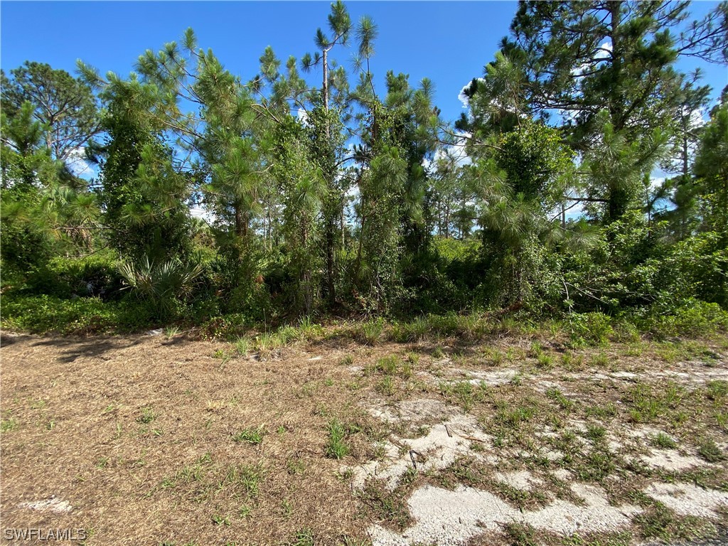3407 73rd Street W Lehigh Acres FL 33971 223039451 image1
