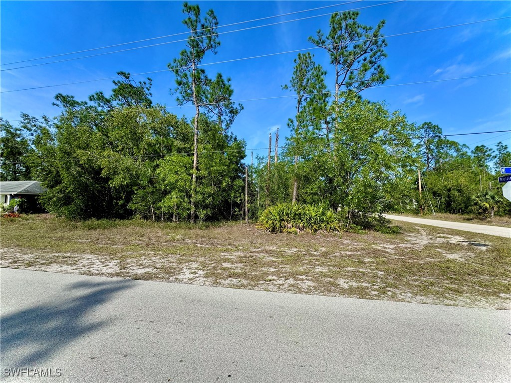 3407 E 2nd Street Lehigh Acres FL 33936 224078866 image1
