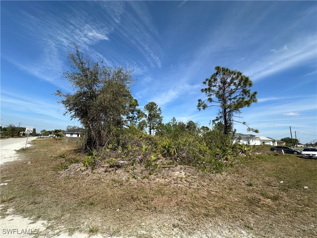 3408 8th Street SW Lehigh Acres FL 33976 225019935 image1
