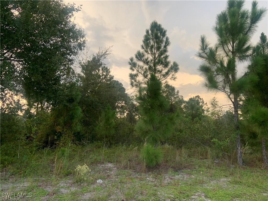 3408 Gene Avenue N Lehigh Acres FL 33971 224082550 image1