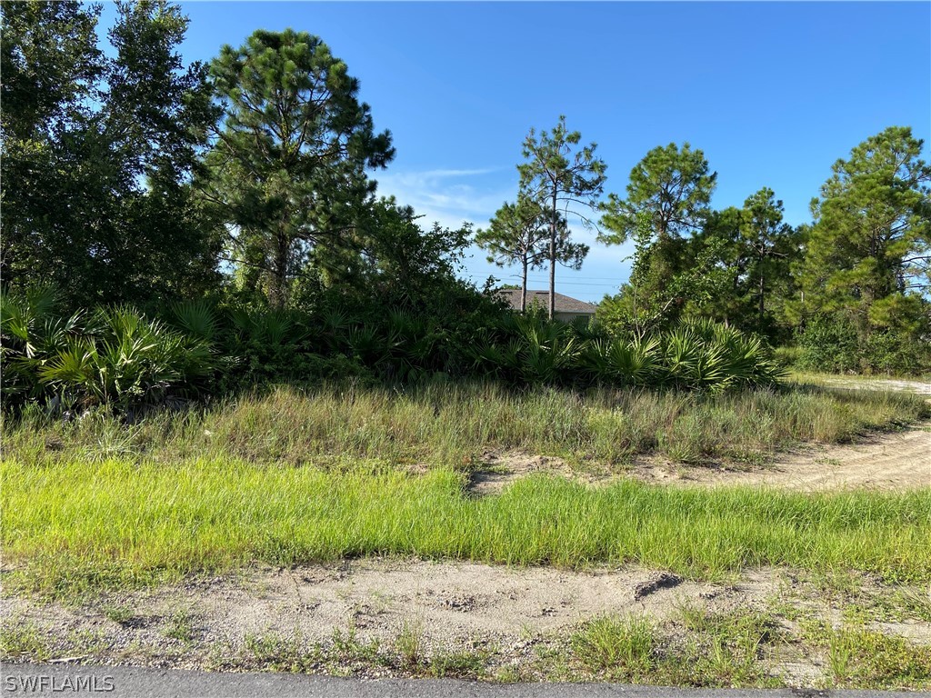 3409 7th Street SW Lehigh Acres FL 33976 222060965 image1