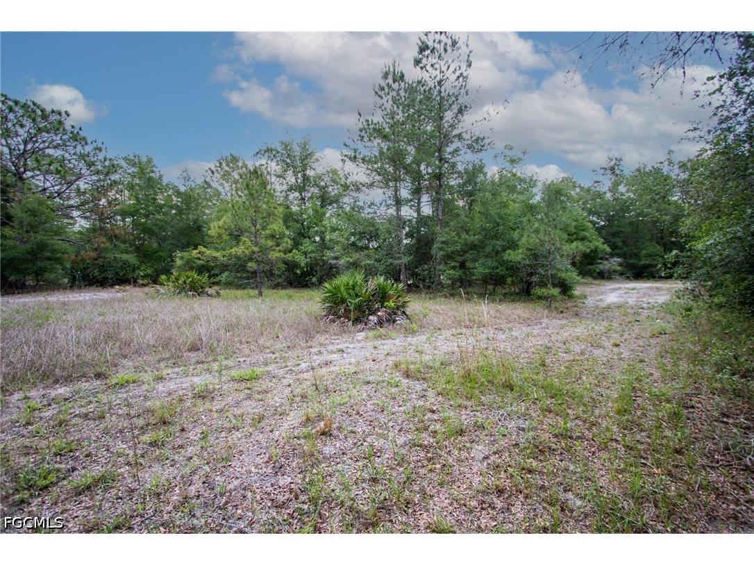 34122 August Avenue Webster FL 33597 2026028066 image5