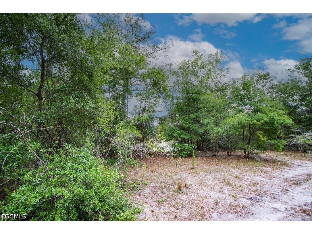 34122 August Avenue Webster FL 33597 2026028066 image6