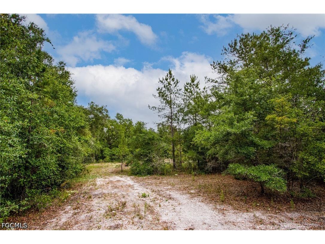 34122 August Avenue Webster FL 33597 2026028066 image7