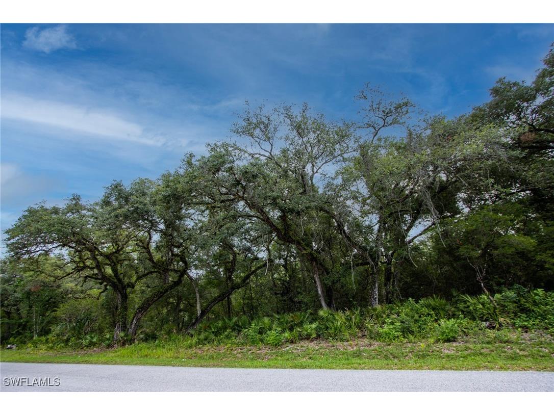 34122 August Avenue Webster FL 33597 225053903 image2