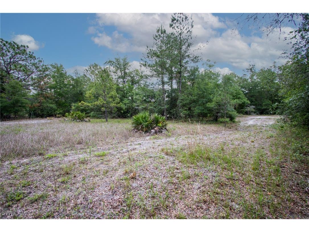 34122 August Avenue Webster FL 33597 225053903 image3