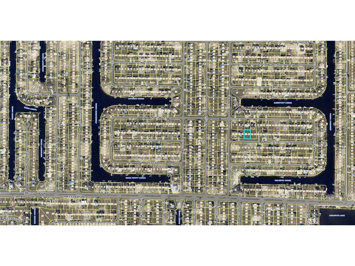 3413 NW 1st Terrace Cape Coral FL 33993 223034598 image1