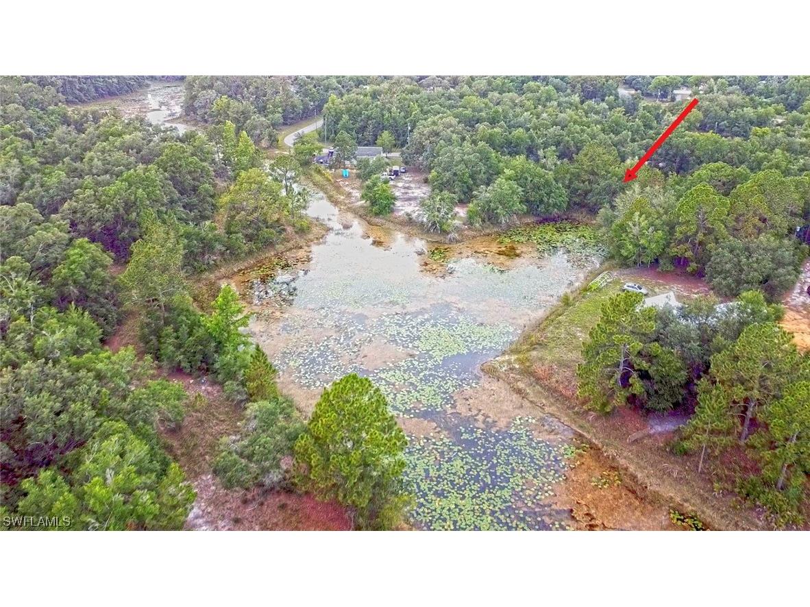 34132 August Avenue Webster FL 33597 223041873 image1