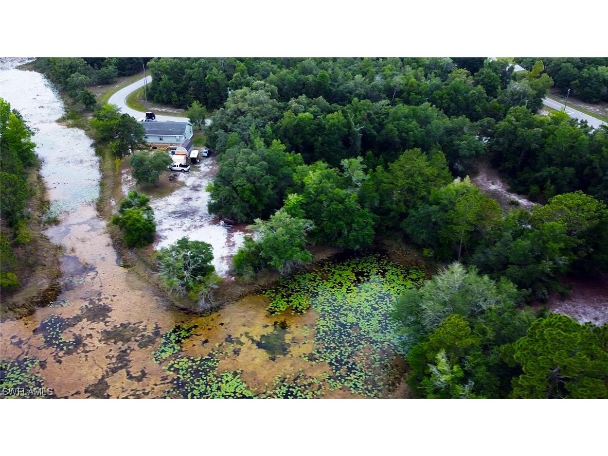 34132 August Avenue Webster FL 33597 223041873 image3