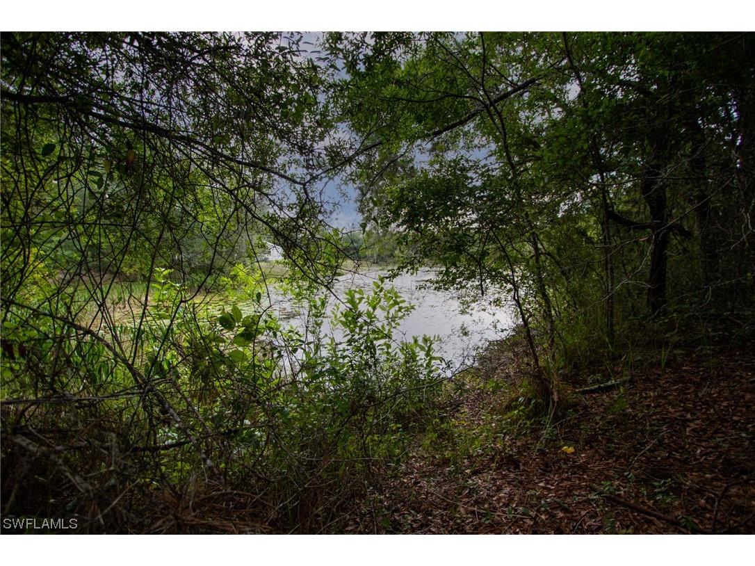 34132 August Avenue Webster FL 33597 223041873 image5