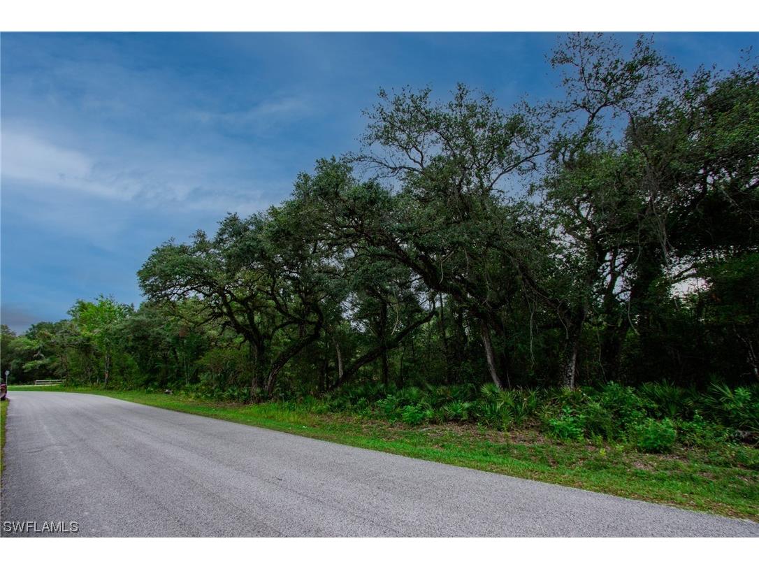 34132 August Avenue Webster FL 33597 223041873 image6