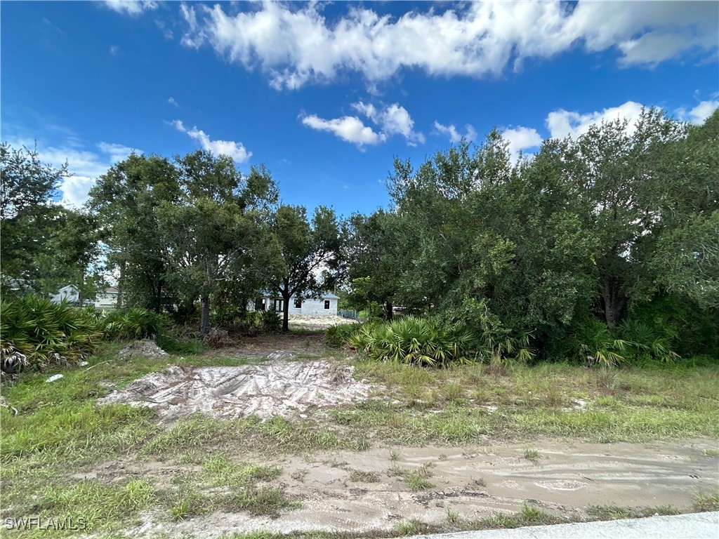 3414 5th Street SW Lehigh Acres FL 33976 225071314 image1