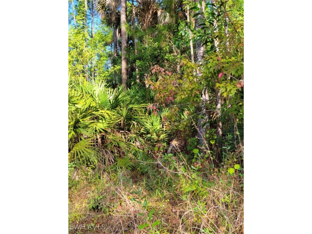 3415 41st Avenue NE Naples FL 34120 225007209 image1