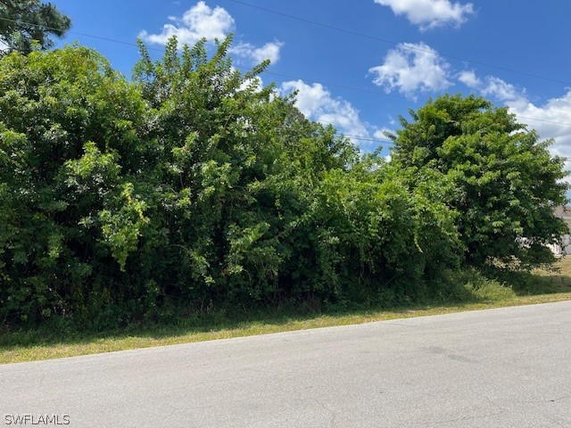 3415 4th Street SW Lehigh Acres FL 33976 224037660 image1